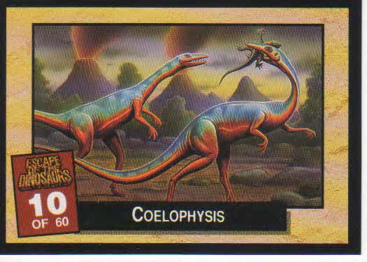 Coelophysis