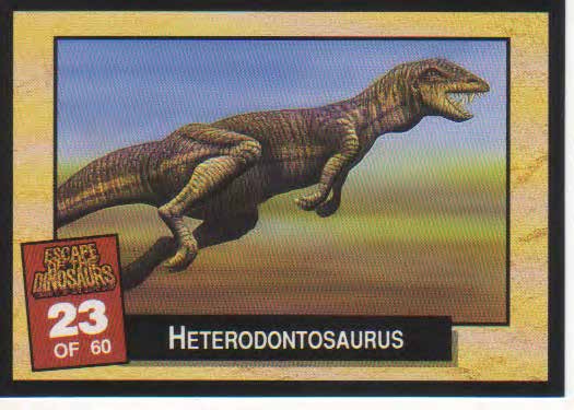 Heterodontosaurus