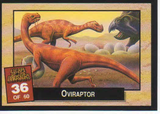 Oviraptor