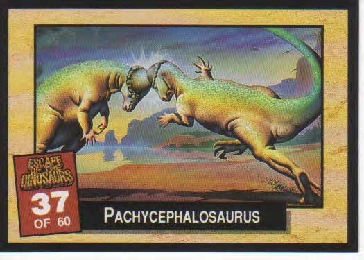 Pacycephalosaurus