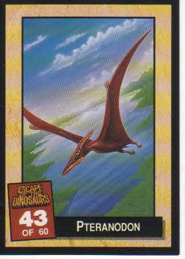 Pteranodon