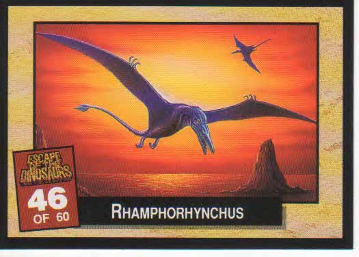 Rhamphorhynchus