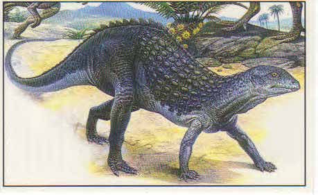 Scutellosaurus