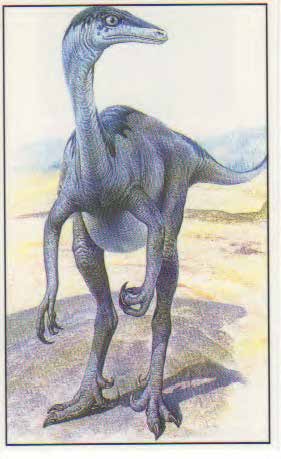 Troodon