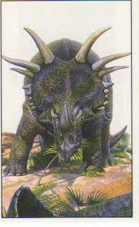 Styracosaurus