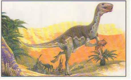 Ornitholestes