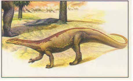 Anchisaurus