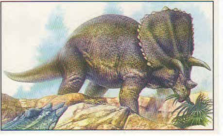 Pentaceratops