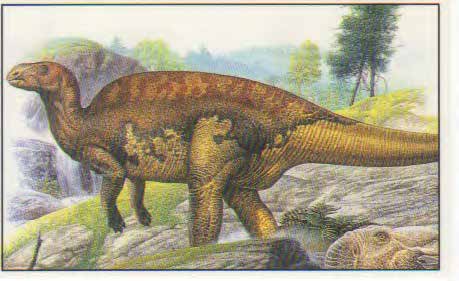 Bactrosaurus