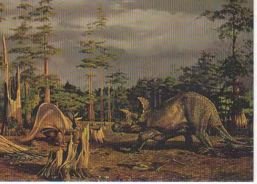 Triceratops