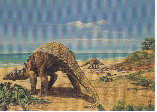 Sauropelta