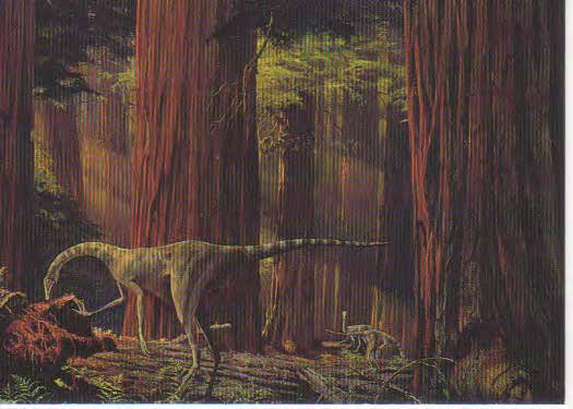 Dromiceiomimus