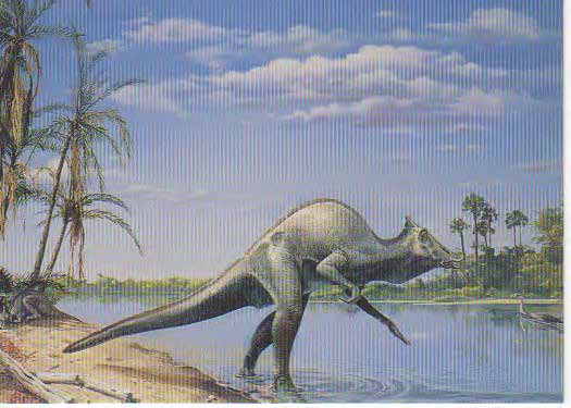 Saurolophus