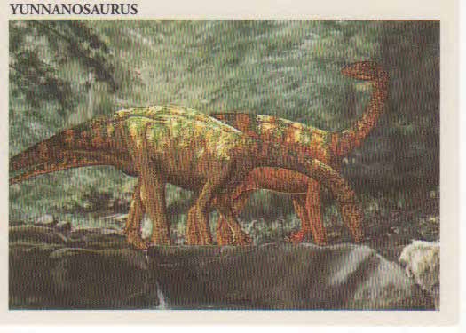 Yunnanosaurus