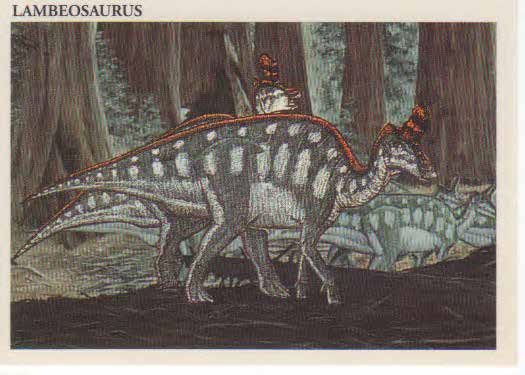 Lambeosaurus