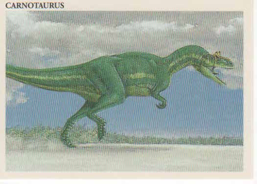 Carnotaurus