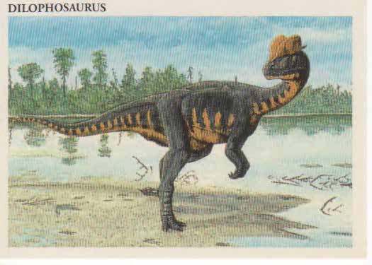 Dilophosaurus