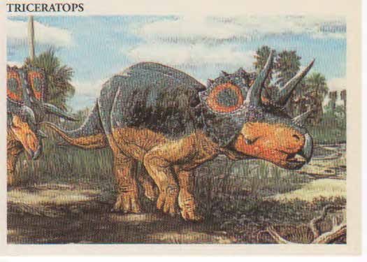 Triceratops