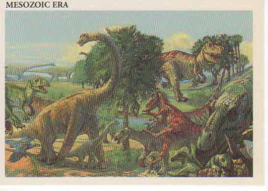 Mesozoic Era