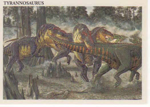 Tyrannosaurus