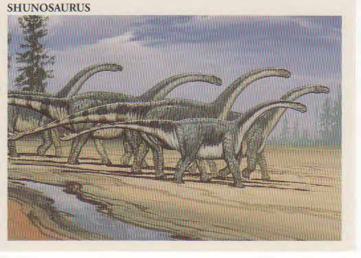 Shunosaurus