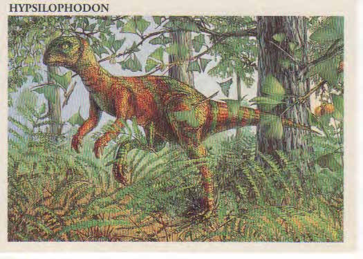 Hypsilophodon