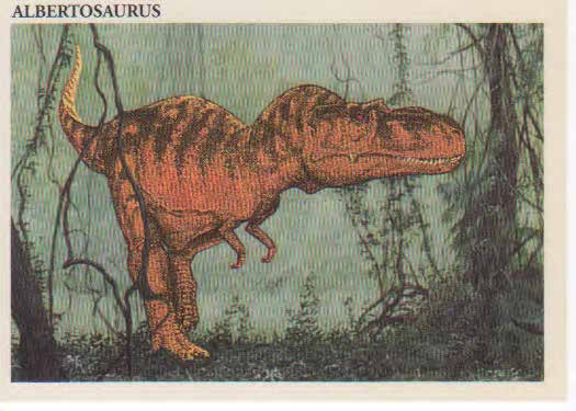 Albertosaurus