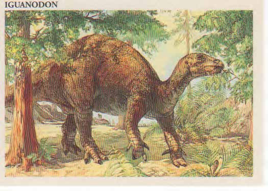 Iguanodon