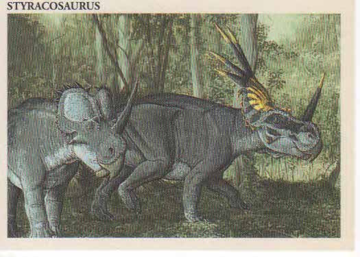 Styracosaurus