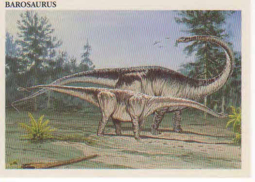 Barosaurus