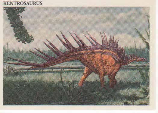 Kentrosaurus