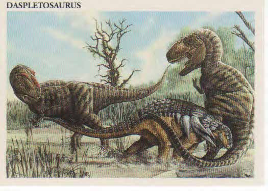 Daspletosaurus