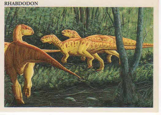 Rhabdodon