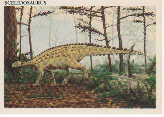 Scelidosaurus