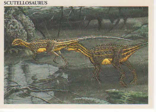 Scutellosaurus