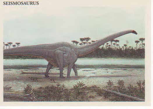 Seismosaurus