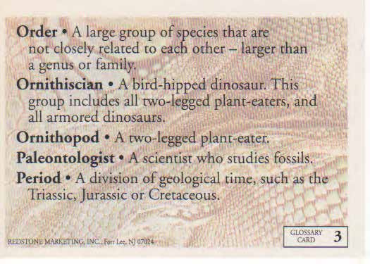 Glossary Card 3B